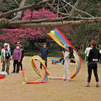 ֲ��԰÷��ʢ��˿����