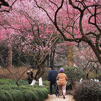 ���£���ã�