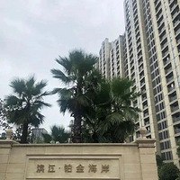 ���ҵ��Ϊ���۲���Ҳ̫ƴ��