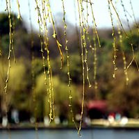 ����-����