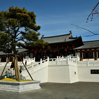 ���ε��ٹ���ַ�������Ӱ