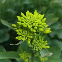 �ͻ�����ʱ