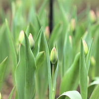 �ȴ���ů����