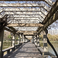 ɢ�����ҳ�