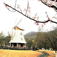 ��糵�Ĵ���