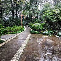 ����֮��ɫ261-2022��ĵ�һ��ѩ����������С��һЩ2