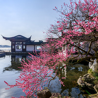 ������������Ժһ��÷������ѹȺ��