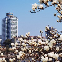 �ֵ�����������ʱ