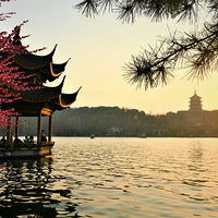 ˫Ͷ�ź�÷����ϼ����