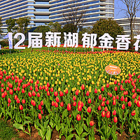 ��ʮ�����º������㻨��