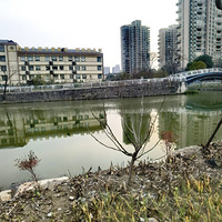 ������֮һ