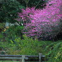 ���£������ļ����İ���ʹ��飬��ů�ٻ�����