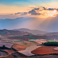 �����߲�������