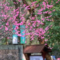 ���̽÷��1��