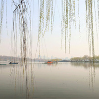 �׵�����