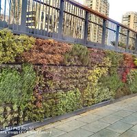 �紺�Ļ���