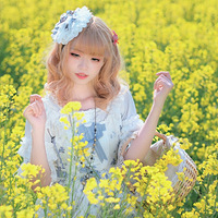 �����Ͳ˻�����