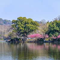 ������ɽ̽÷��������һ�ڿ�������ӣ����