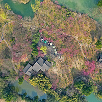 ��Ϫʪ�ع�԰÷������÷��ʢ��