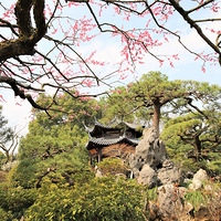 ���۵Ĵ�������