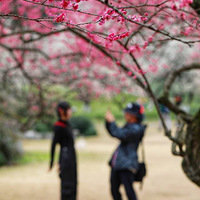 ���̽÷��2��