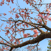 ̫����ɽӣ����лĻ���� ����3��4�գ�2023.03.05