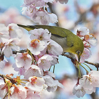 ��ɽӣ���ϵ�������