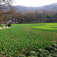 �����㻹Ҫ������