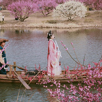 һ�ݴ�ˮ�����ţ�����������ǻ���