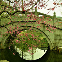 ��Ժ÷��ʢ����Ӱ