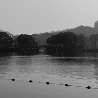 ���۵Ĵ���