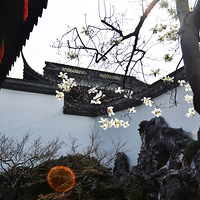 �������о�С����ĺ�լ��