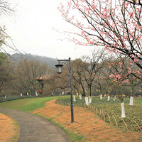 ���紵��̫����