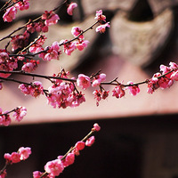 ���վ���