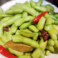 ��ů�����������Ƥ��ͧ�۳ҽ���֮��