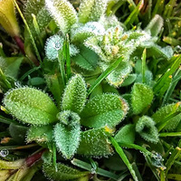 ΢���ڻ��£�һ�׾���ʼ��