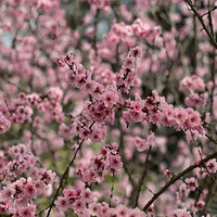 �������ʹ���