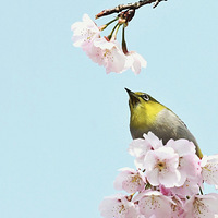 ��ɽӣ���ϵ�������2��