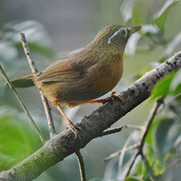 ���ϵĻ�ü��