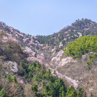 ����ɽ������ʱ�����볾�̣������ɾ��δ��У���ͯңָӣ����