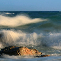 ������˿��