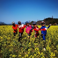 ���жӵ�����