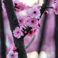 ����÷��1��