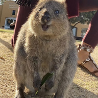 ��RottnestIsland