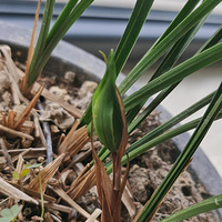 �����ֿ���