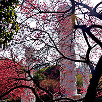 ���µĽ���÷