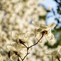 ��������������绳�����