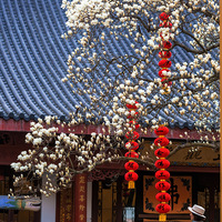 ��ϲ�°�����