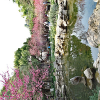 ��ɽ��÷֮��