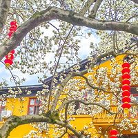 ��ϲ�¹�����������500�꣩��������  2023.03.07